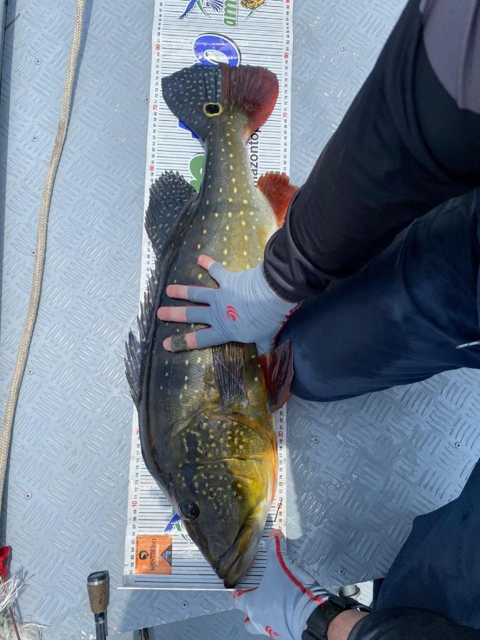 Tucunare Sport Fishing Hotel Itacoatiara  Eksteriør billede